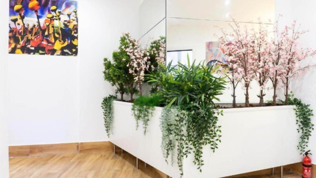 Ilustre Rooms Malaga Bilik gambar